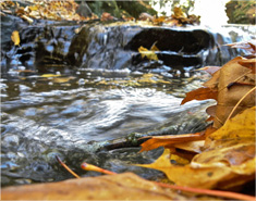 电话轰炸机网页版